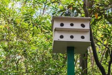 Multi hole white bird house on green wood beam in woodland park