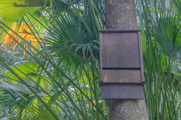 Wooden bat box attached to tree trunk in Florida woodland