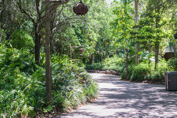 Wide walking path in woodland park with lamp posts and garbage bins