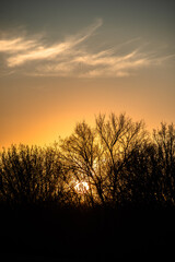 Fototapeta premium Green field with sunset . Orange sky . Sun over the field . Forest at evening spring time 