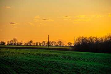 Green field with sunset . Orange sky . Sun over the field . Forest at evening spring time 