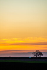 Green field with sunset . Orange sky . Sun over the field . Forest at evening spring time 
