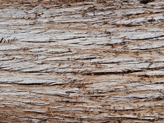 A detailed close-up photograph of the intricate patterns and varied shades of aged tree bark.