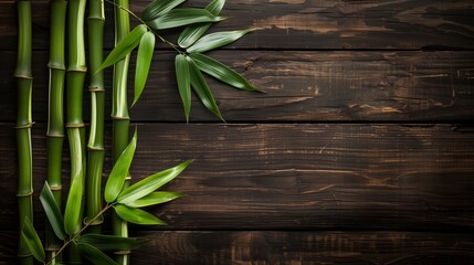 Fresh green bamboo stalks and leaves arranged on a dark wooden board background.