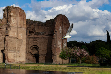 Walls of the Baths of Caracalla in Rome, meadow and cloudy sky.