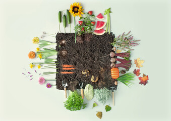 Organic four seasons fruits and vegetables concept