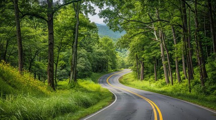 Obraz premium Summer road trip. documenting scenic drives, roadside attractions, and memorable stops along the way