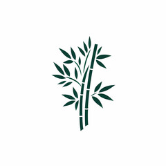 Fototapeta premium vector type image of bamboo 