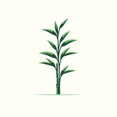 Fototapeta premium vector type image of bamboo 