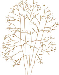 Detailed vector sketch of a side view tree design illustration for completeness of the image