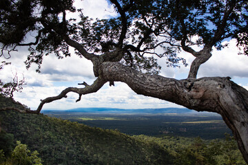Panoramic view in the brazilian state of Goias