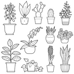 Set of Houseplants.  Indoor flowers in pots. Outline illustration, design elements or page of children's coloring book