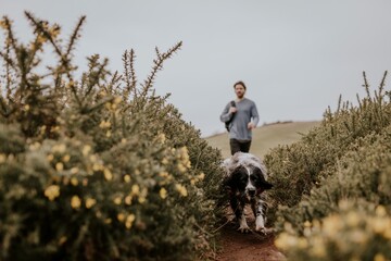 Dog walking in field with owner photo