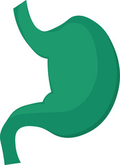 Structure of human stomach icon. Abdominal organs, medical stroked cartoon element for modern and retro design. Simple color vector pictogram isolated on white background