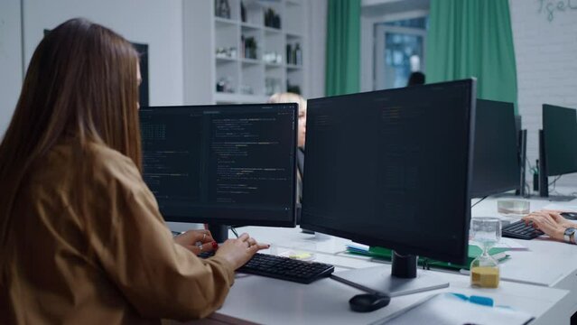 Software Development Company, Female Programmer Working With Computer In Office, IT Professional
