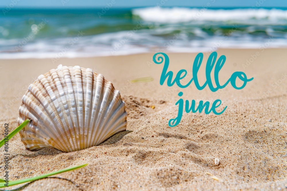 Poster seashell on the beach background with text in turquoise color font that says 