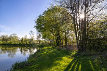 Fototapeta na wymiar Spring morning at the pond