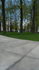 Spring park, high curb, smooth lawn
