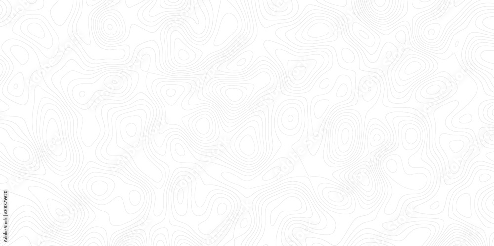 Poster topographic map background with geographic line map with elevation assignments.modern design with wh