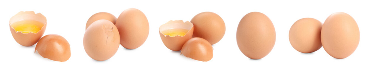 Many eggs and yolks on white background, set