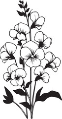 Fototapeta premium Vector illustration hand drawn pencil sketch, a branch of botanical collection simplicity, artistic, coloring book for children and adults, fantasy sweet pea wall decor, sweet pea flower doodle
