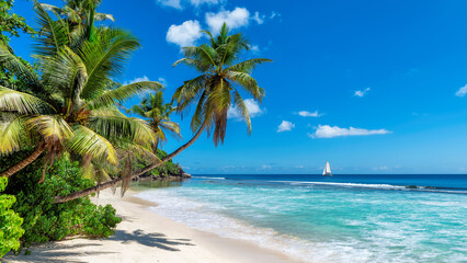 Beautiful Sunny beach with palm trees and a sailing boat in the turquoise sea on Paradise island. Fashion travel and tropical beach concept.	