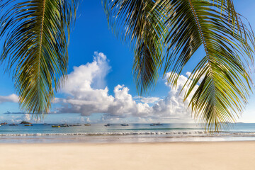 Palm leaves above the beach in tropical island with white sand and sea. Summer vacation and tropical beach concept.	
