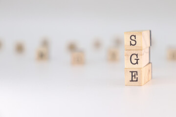 SGE word. Concept of Search Generative Experience written on wooden cubes isolated on white background.