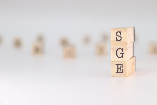 SGE word. Concept of Search Generative Experience written on wooden cubes isolated on white background.
