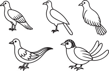 Set of hand drawn doodle pigeons. Vector illustration.
