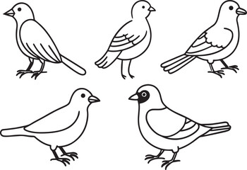 Set of birds in doodle style. Hand drawn vector illustration.