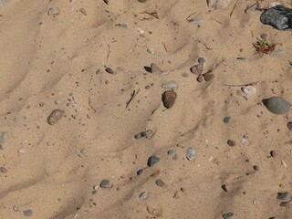 footprints in the sand