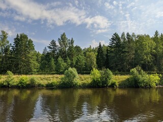 Obraz premium lake and trees