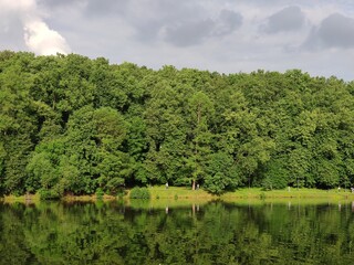 lake in the forest