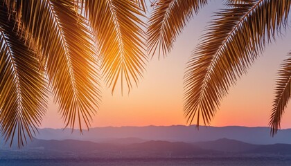 palm tree leaves against gradient sunset sky tropical nature background
