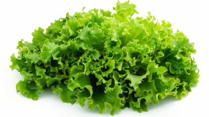 Fototapeta premium A bunch of green lettuce leaves on a white background