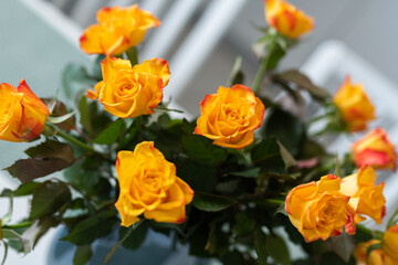 Bukiet pomarańczowych róż