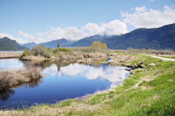 Pitt River Dike Scenic Point during a spring season in Pitt Meadows, British Columbia, Canada