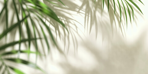 Blurred shadow from Tropical palm leaves on light cream wall, Minimalistic beautiful summer spring background.
