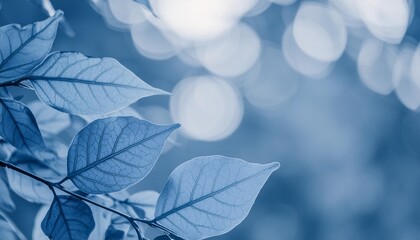 abstract nature view of leaves on blurred background in blue toned with copy space using as background natural green plants landscape ecology fresh wallpaper concept