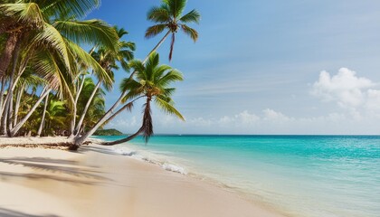 tropical carribbean beach