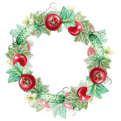 Round frame with red ripe tomato and green cucumber in watercolor illustration on a white background. Hand drawn illustration of cucumber and tomato frame for cookbooks, recipes and natural products.
