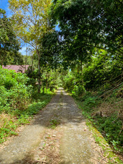 pathway in a village 