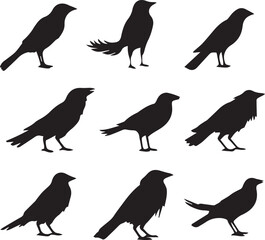 Crow Bird Silhouette Set