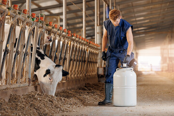 Vet doctor man use tank liquid nitrogen with bull sperm for artificial insemination of cows....
