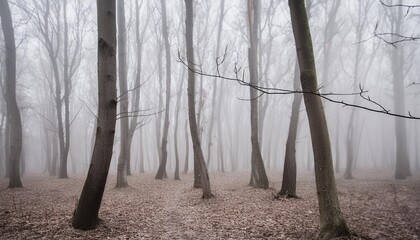 gloomy gothic forest in gothic style high quality photo