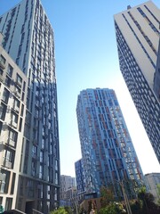 Obraz premium skyscrapers