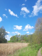 landscape with sky and clouds