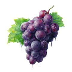 Bunch of Grapes Ripe and Ready: The Allure of Fresh Grapes