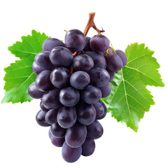 Fototapeta premium Bunch of Grapes Ripe and Ready: The Allure of Fresh Grapes